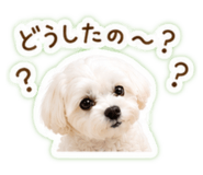 844445332