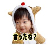 844445546