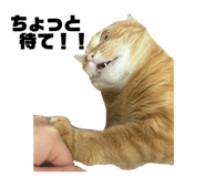 844445684