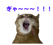 844445685
