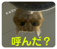 844445686