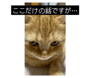 844445688