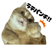844445689