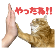 844445690