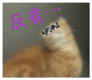 844445709
