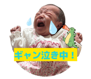 844445958
