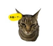 844450450