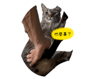 844450455