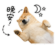 844450650