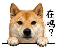 844450653
