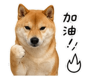 844450654