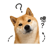 844450655