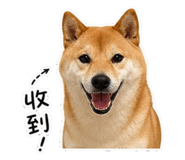 844450663