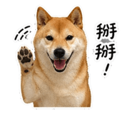 844450664