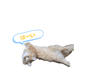 844450973