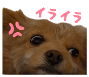844450993