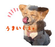 844450997