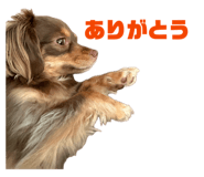 844451170