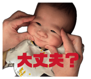 844451666