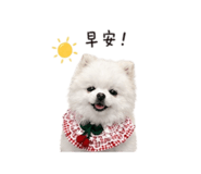844452333
