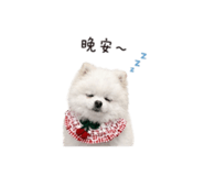 844452334