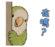 844452350