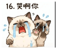 844452497
