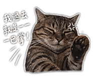 844452708