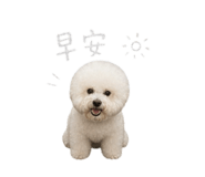 844452713