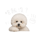 844452716
