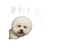 844452721