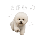 844452723