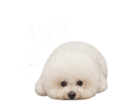 844452724