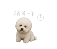 844452725