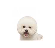 844452726