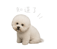 844452727