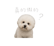 844452728