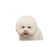 844452729