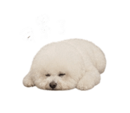 844452730