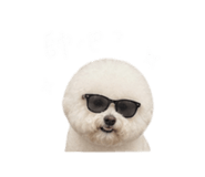 844452731