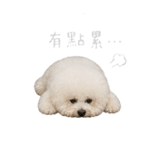 844452735