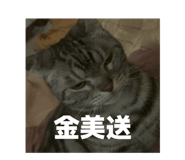 844453060