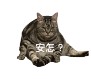 844453063