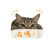 844453229