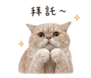 844453242