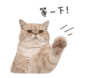 844453256