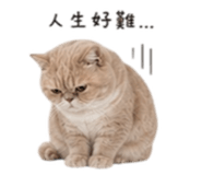 844453266