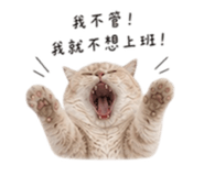 844453271