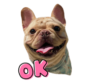 844454258
