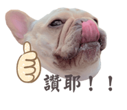 844454260